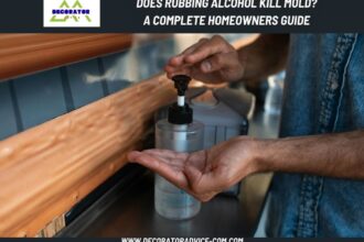 Does Rubbing Alcohol Kill Mold A Complete Homeowners Guide