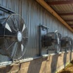 Barn Ventilation Fans: Reducing Heat Stress and Improving Animal Welfare