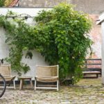 Outdoor Garden Ideas 2026: Transform Your Outside Space Into a Place You Love