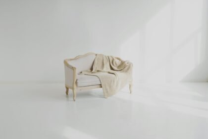 2 seater sofas explained including benefits for small spaces, comfort, durability, fabric types, placement options and use in modern Australian homes