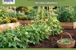 Decoradhouse Garden Tips by Decoratoradvice