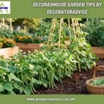 Decoradhouse Garden Tips by Decoratoradvice