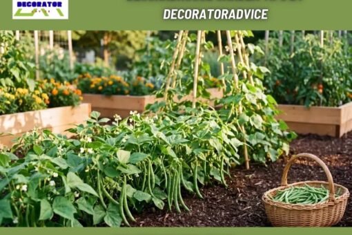 Decoradhouse Garden Tips by Decoratoradvice