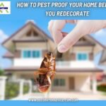 How to Pest Proof Your Home Before You Redecorate