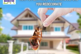 How to Pest Proof Your Home Before You Redecorate