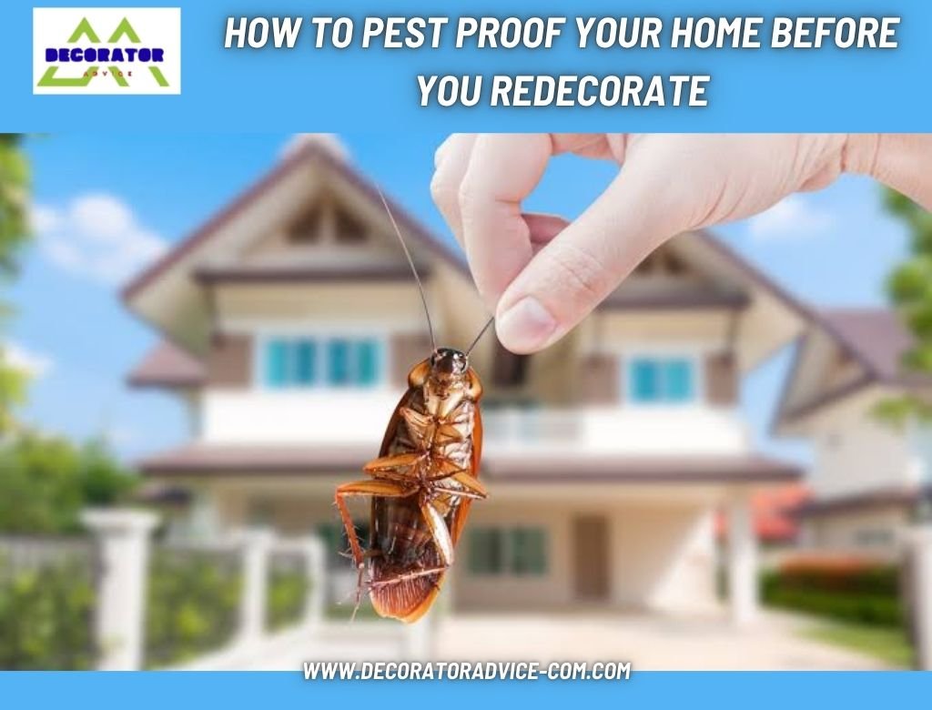 How to Pest Proof Your Home Before You Redecorate